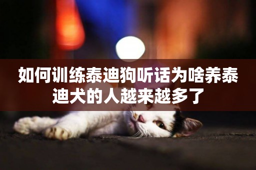 如何訓練泰迪狗聽話為啥養泰迪犬的人越來越多了