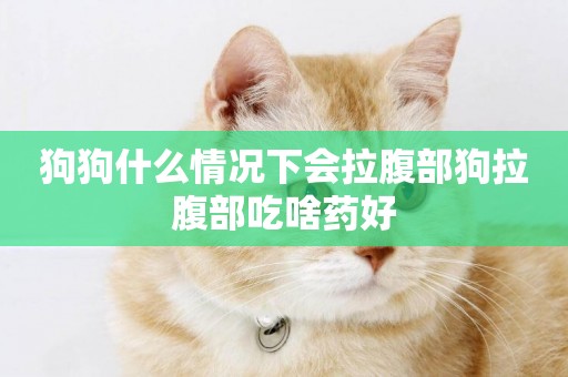 狗狗什么情況下會拉腹部狗拉腹部吃啥藥好