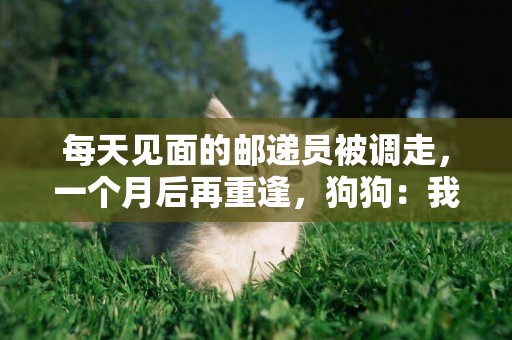 每天見面的郵遞員被調走，一個月后再重逢，狗狗：我好想你啊！