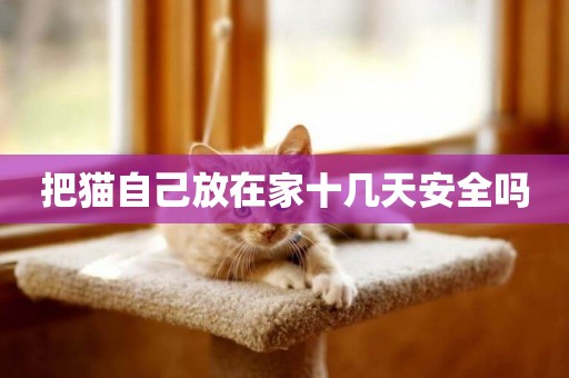 把貓自己放在家十幾天安全嗎