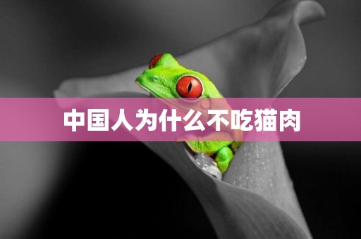 中國人為什么不吃貓肉
