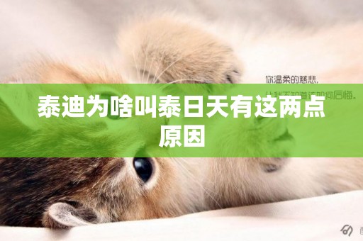 泰迪為啥叫泰日天有這兩點原因