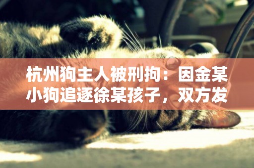 杭州狗主人被刑拘：因金某小狗追逐徐某孩子，雙方發生爭執