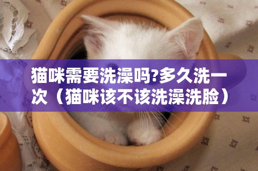 貓咪需要洗澡嗎?多久洗一次（貓咪該不該洗澡洗臉）