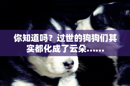 你知道嗎？過世的狗狗們其實都化成了云朵……