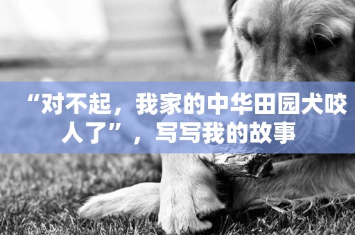 “對不起，我家的中華田園犬咬人了”，寫寫我的故事