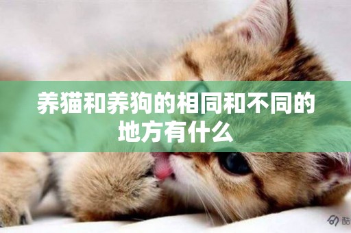 養貓和養狗的相同和不同的地方有什么