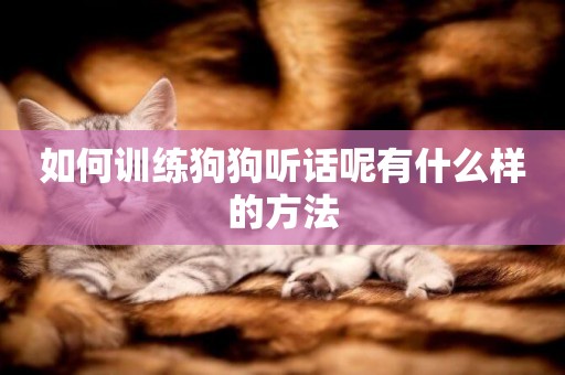 如何訓練狗狗聽話呢有什么樣的方法