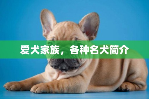 愛犬家族，各種名犬簡介