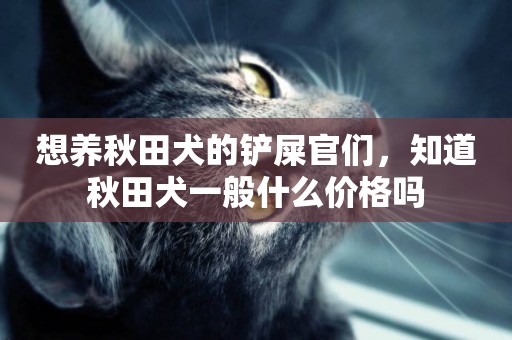 想養秋田犬的鏟屎官們，知道秋田犬一般什么價格嗎