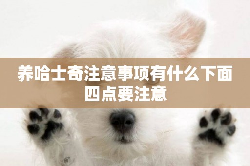 養哈士奇注意事項有什么下面四點要注意