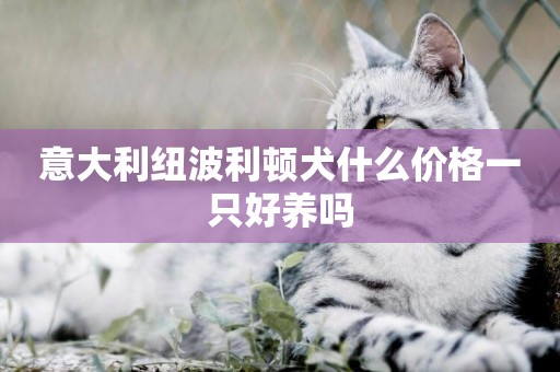 意大利紐波利頓犬什么價格一只好養嗎