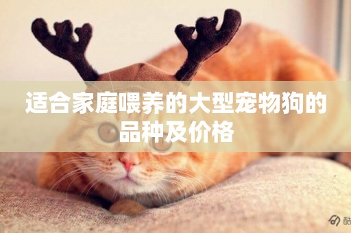 適合家庭喂養的大型寵物狗的品種及價格
