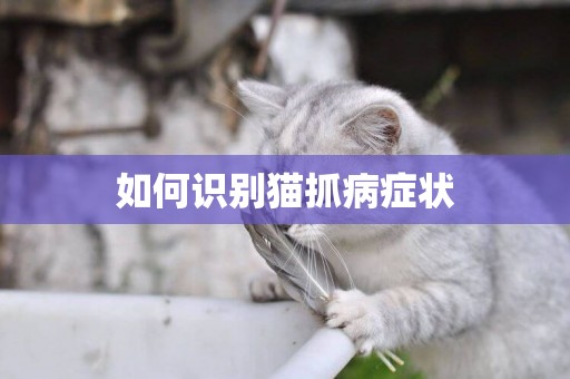 如何識別貓抓病癥狀