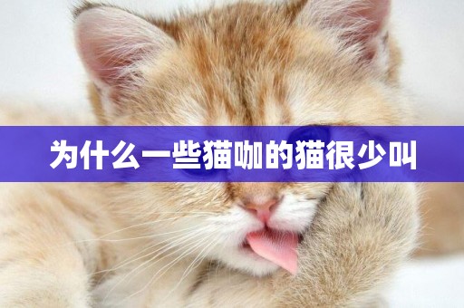 為什么一些貓咖的貓很少叫