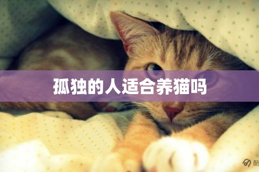 孤獨的人適合養貓嗎
