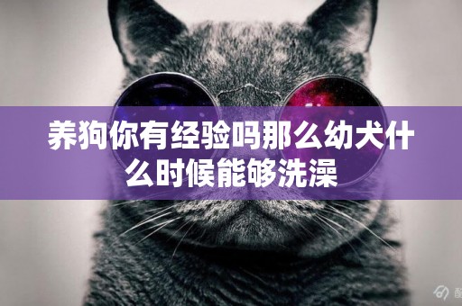 養狗你有經驗嗎那么幼犬什么時候能夠洗澡