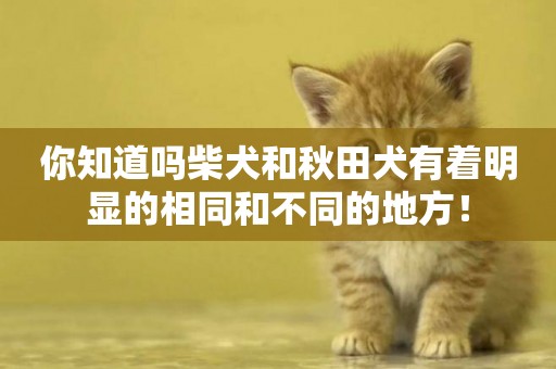 你知道嗎柴犬和秋田犬有著明顯的相同和不同的地方！