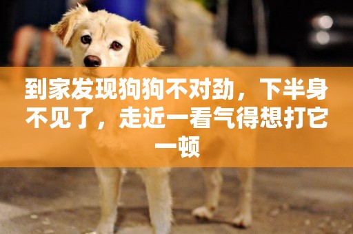 到家發現狗狗不對勁，下半身不見了，走近一看氣得想打它一頓