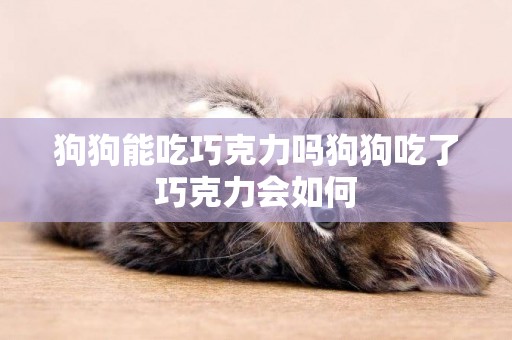 狗狗能吃巧克力嗎狗狗吃了巧克力會如何