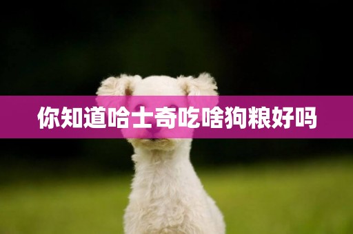 你知道哈士奇吃啥狗糧好嗎