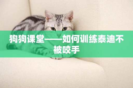 狗狗課堂——如何訓練泰迪不被咬手