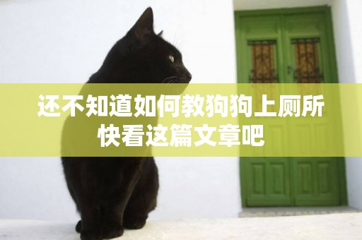 還不知道如何教狗狗上廁所快看這篇文章吧