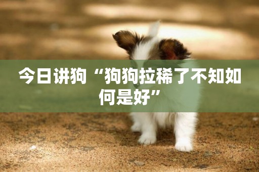 今日講狗“狗狗拉稀了不知如何是好”
