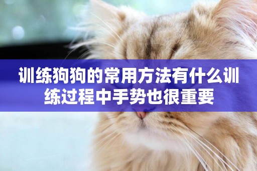 訓練狗狗的常用方法有什么訓練過程中手勢也很重要