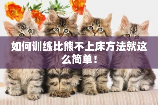 如何訓練比熊不上床方法就這么簡單！