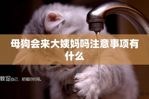 母狗會來大姨媽嗎注意事項有什么