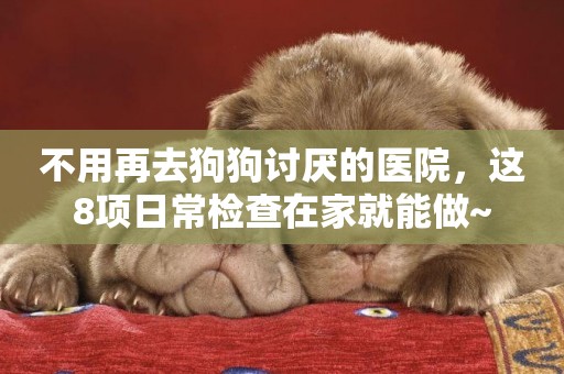 不用再去狗狗討厭的醫院，這8項日常檢查在家就能做~