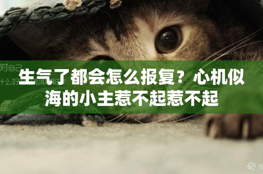 生氣了都會怎么報復？心機似海的小主惹不起惹不起