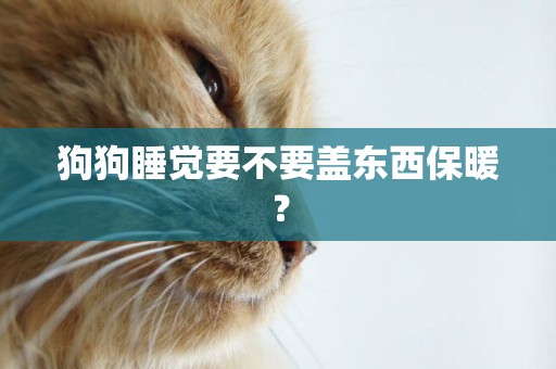 狗狗睡覺要不要蓋東西保暖？