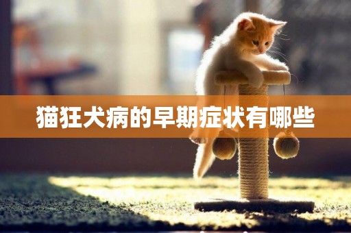 貓狂犬病的早期癥狀有哪些
