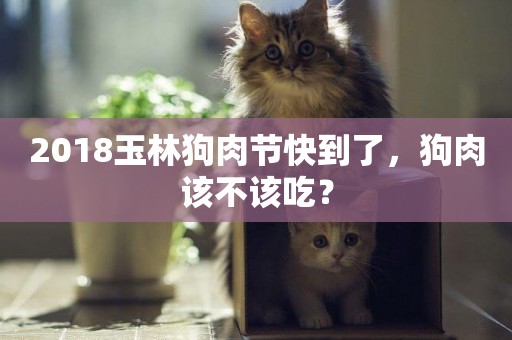 2018玉林狗肉節快到了，狗肉該不該吃？