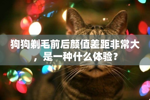 狗狗剃毛前后顏值差距非常大，是一種什么體驗？