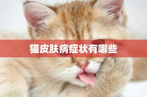 貓皮膚病癥狀有哪些