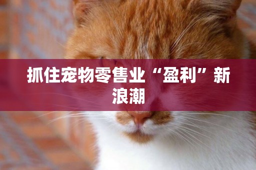 抓住寵物零售業“盈利”新浪潮