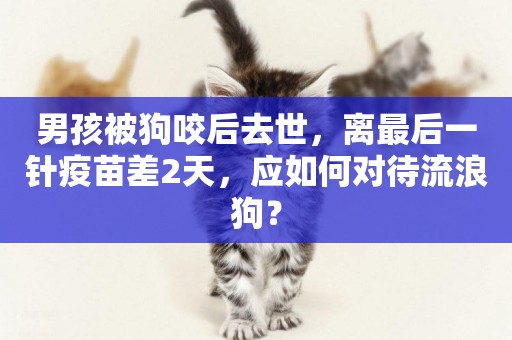 男孩被狗咬后去世，離最后一針疫苗差2天，應如何對待流浪狗？