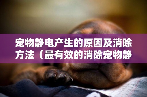 寵物靜電產生的原因及消除方法（最有效的消除寵物靜電的七個方法）
