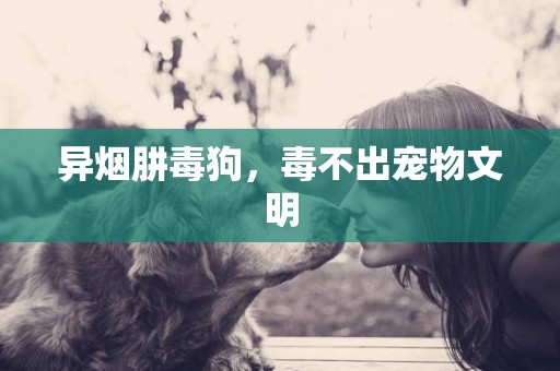 異煙肼毒狗，毒不出寵物文明