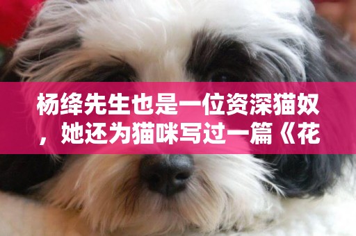 楊絳先生也是一位資深貓奴，她還為貓咪寫過一篇《花花兒》