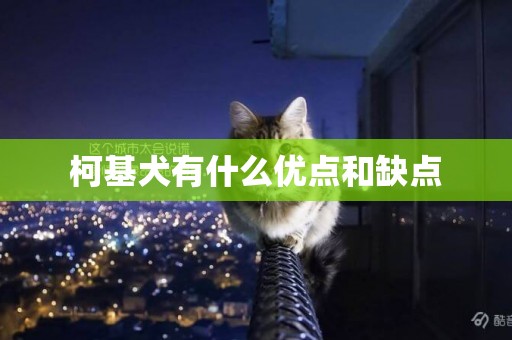 柯基犬有什么優點和缺點