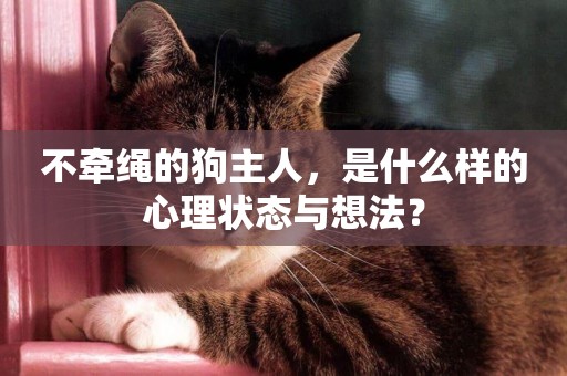不牽繩的狗主人，是什么樣的心理狀態與想法？