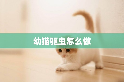 幼貓驅蟲怎么做
