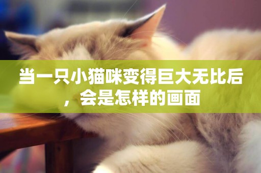 當一只小貓咪變得巨大無比后，會是怎樣的畫面