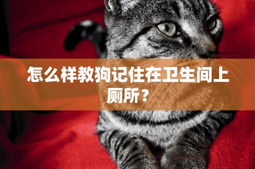 怎么樣教狗記住在衛生間上廁所？