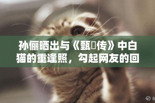 孫儷曬出與《甄嬛傳》中白貓的重逢照，勾起網友的回憶