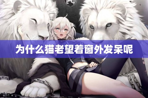 為什么貓老望著窗外發呆呢